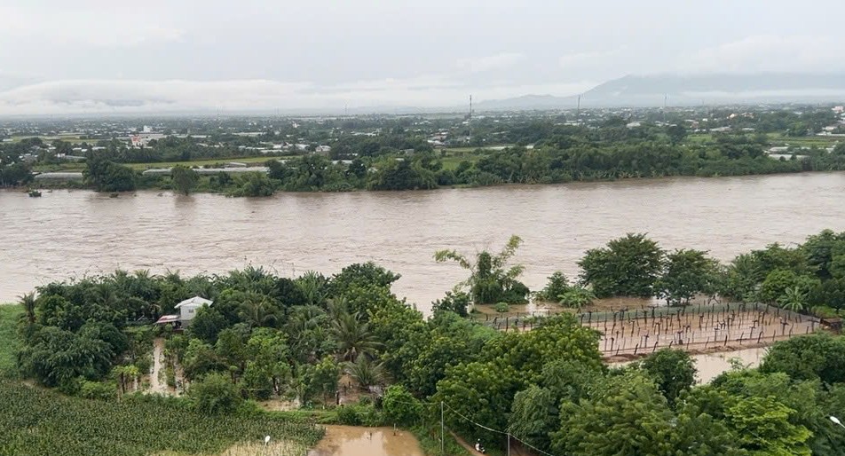 e17703cc3660ba3ee371-1